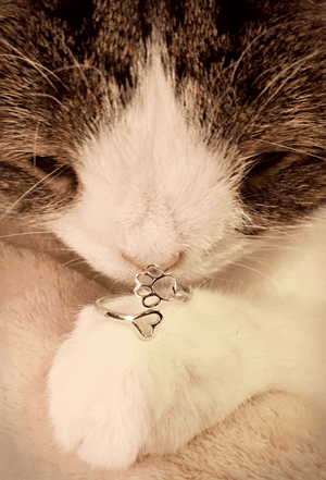 PAWsome Love - Cat Ring (Silver) - Jewelry - Monty Boy