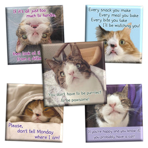 MontyMolly Magnets